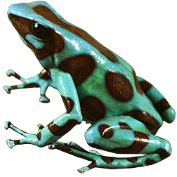 Green & Bronze CR